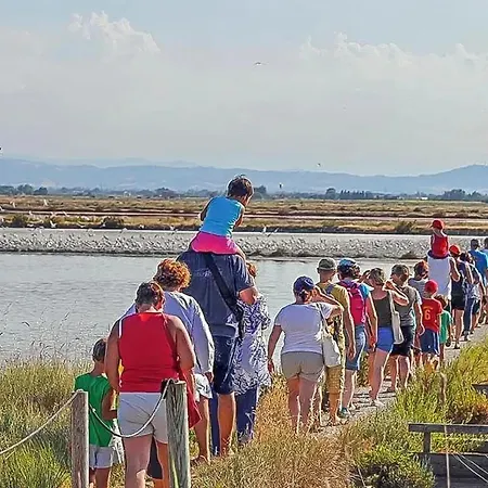 Modern In Lido Di Pomposa, 50 M² With Balcony. *