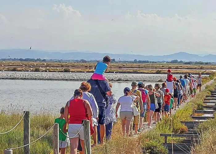 Modern In Lido Di Pomposa, 50 M² With Balcony. *